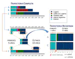 Residential typology and micro-segregation processes in the ancient southern periphery of Buenos Aires